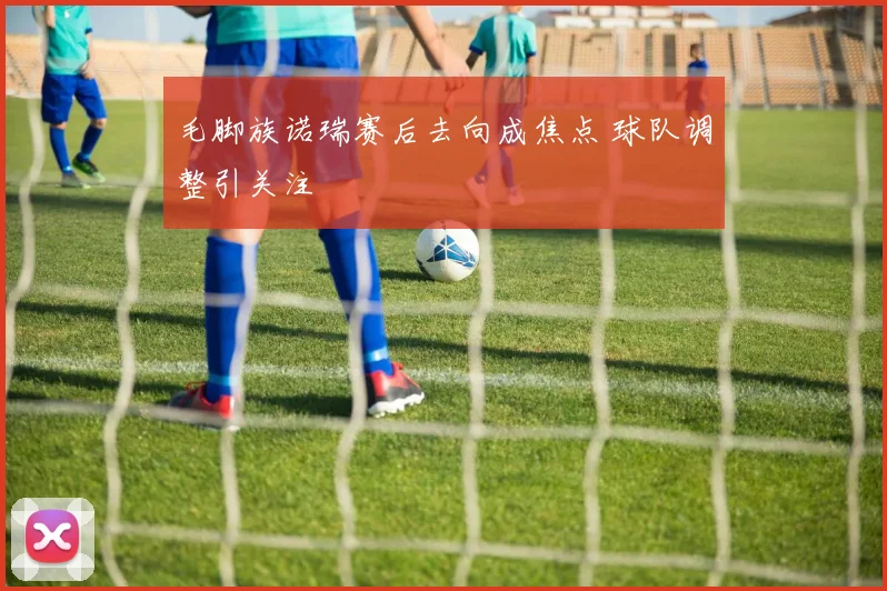 毛脚族诺瑞赛后去向成焦点 球队调整引关注